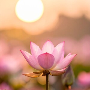 一歩だけでいい