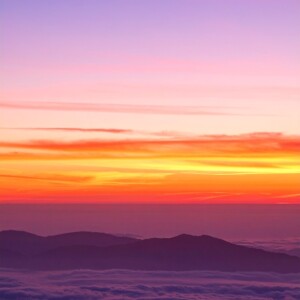 ゆるやかな切り替えが、心を満たす