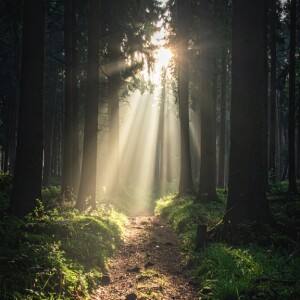 20250925の宇宙波動予報