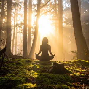 クリアな波動は、クリアな身体から