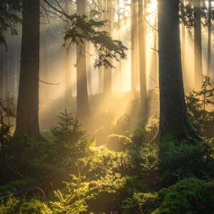 20251022の宇宙波動予報