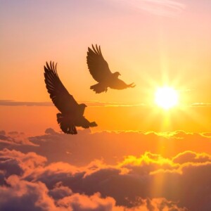 新しいフィールドで羽ばたくタイミング