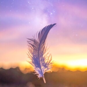 20251010の宇宙波動予報