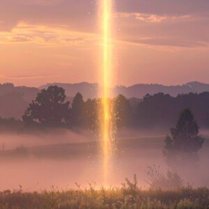 あらゆる存在があなたを応援しています