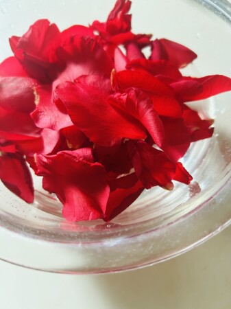 椿の花のチンキ