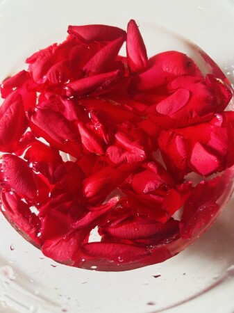 椿の花のチンキ