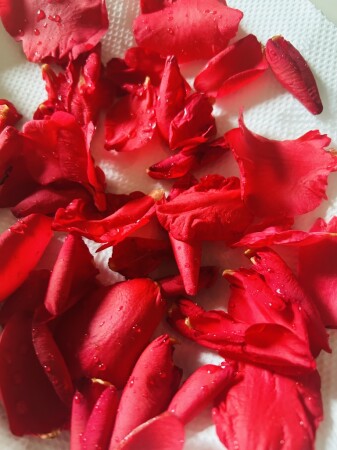 椿の花のチンキ