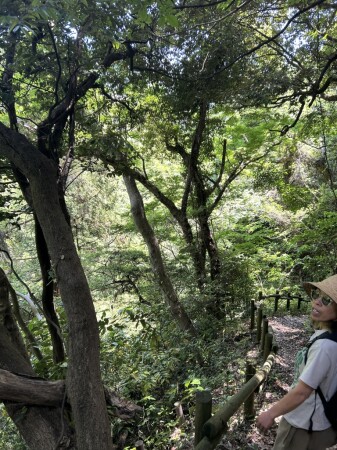 長柄桜山古墳